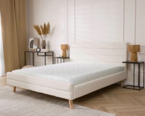 FDM Easy Ekonomisks Bezatsperu — 4