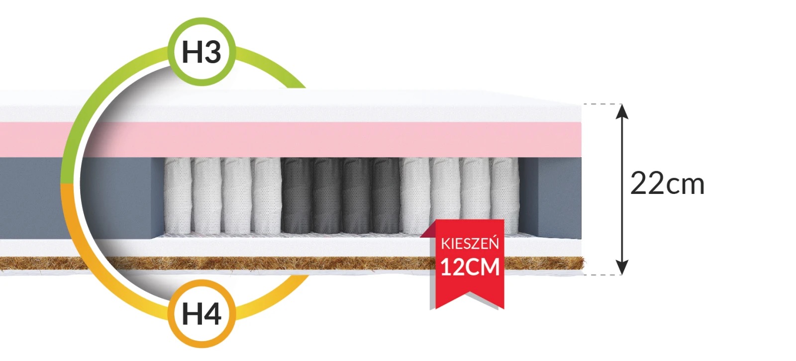 FDM Ivrea Multipocket (Latekss + Kokoss) - Image 10